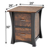 Brookstone Black & Wood 2-Drawer File Cabinet with Panels | M-EB&BIR-ASB