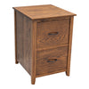 Michigan Oak Wood 2-Drawer File Cabinet | MC