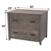 Michigan Oak Wood 2-Drawer Lateral File Cabinet | SB